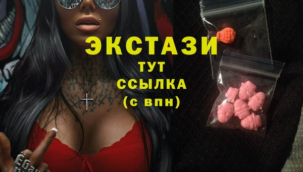 2c-b Новозыбков