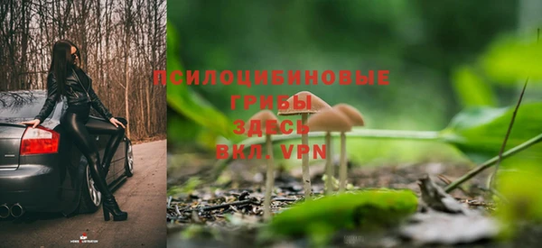 2c-b Новозыбков