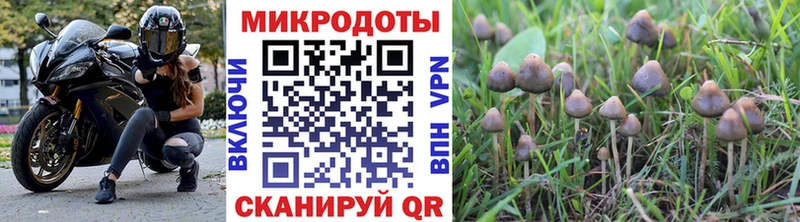 KRAKEN tor  как найти закладки  Нюрба  Галлюциногенные грибы Magic Shrooms 